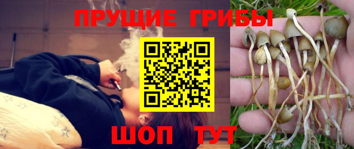 Галлюциногенные грибы ЛСД Якутск
